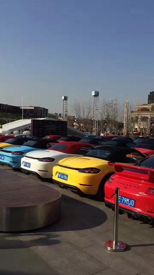 廣東保時捷租賃服務(wù)與上海租車市場 企業(yè)自駕與長包車新選擇